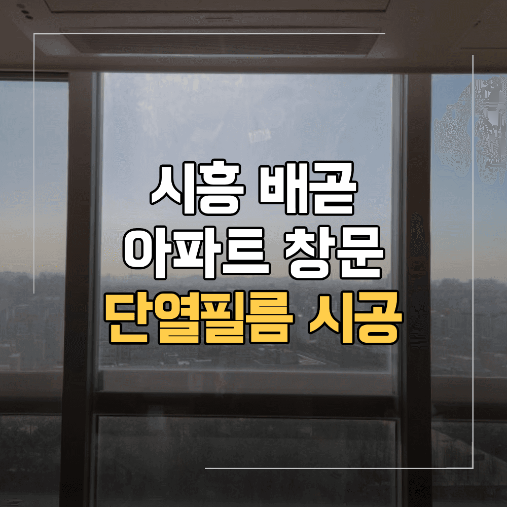 시흥 배곧 아파트 단열 필름 창문 시공 현장
